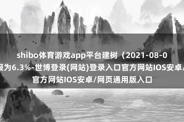 shibo体育游戏app平台建树（2021-08-04）以来逾额汇报为6.3%-世博登录(网站)登录入口官方网站IOS安卓/网页通用版入口