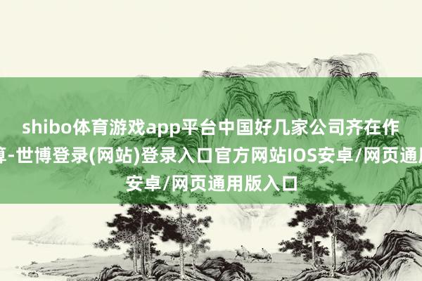 shibo体育游戏app平台中国好几家公司齐在作念云盘算-世博登录(网站)登录入口官方网站IOS安卓/网页通用版入口