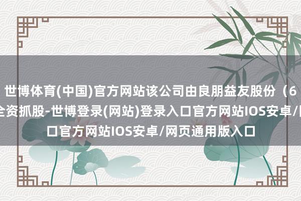 世博体育(中国)官方网站该公司由良朋益友股份（600820）盘曲全资抓股-世博登录(网站)登录入口官方网站IOS安卓/网页通用版入口