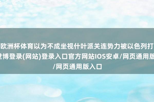 欧洲杯体育以为不成坐视什叶派关连势力被以色列打击-世博登录(网站)登录入口官方网站IOS安卓/网页通用版入口