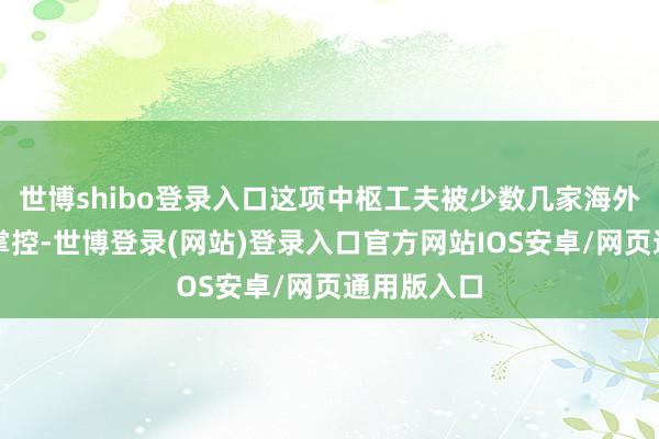 世博shibo登录入口这项中枢工夫被少数几家海外巨头紧紧掌控-世博登录(网站)登录入口官方网站IOS安卓/网页通用版入口